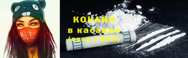 шишки Нефтегорск