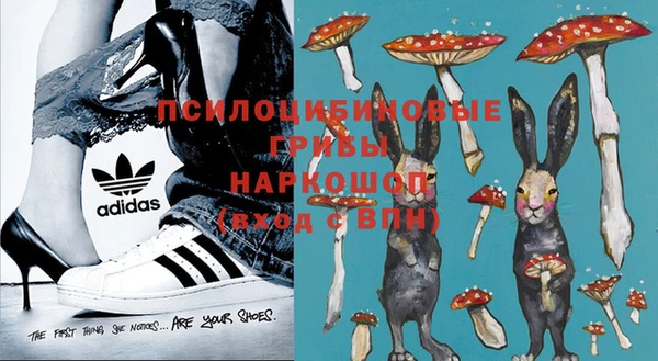 дурь Нея