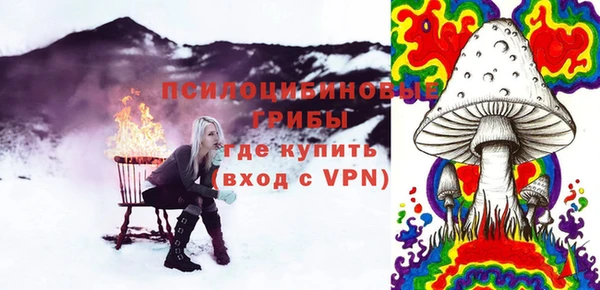 шишки Нефтегорск